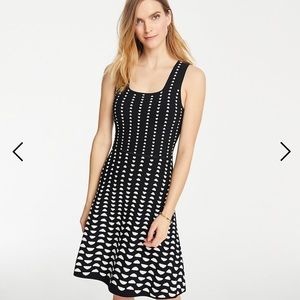 Ann Taylor Half Moon Sleeveless Sweater Dress